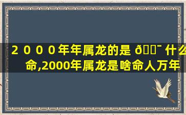 ２０００年年属龙的是 🐯 什么命,2000年属龙是啥命人万年 🕊 历